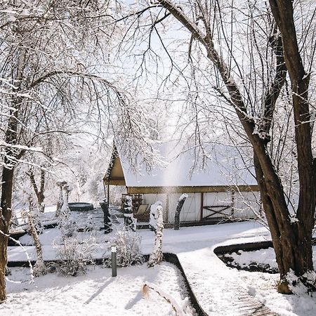 Luxury Vineyard Resort Chateau Ramsak マリボル エクステリア 写真