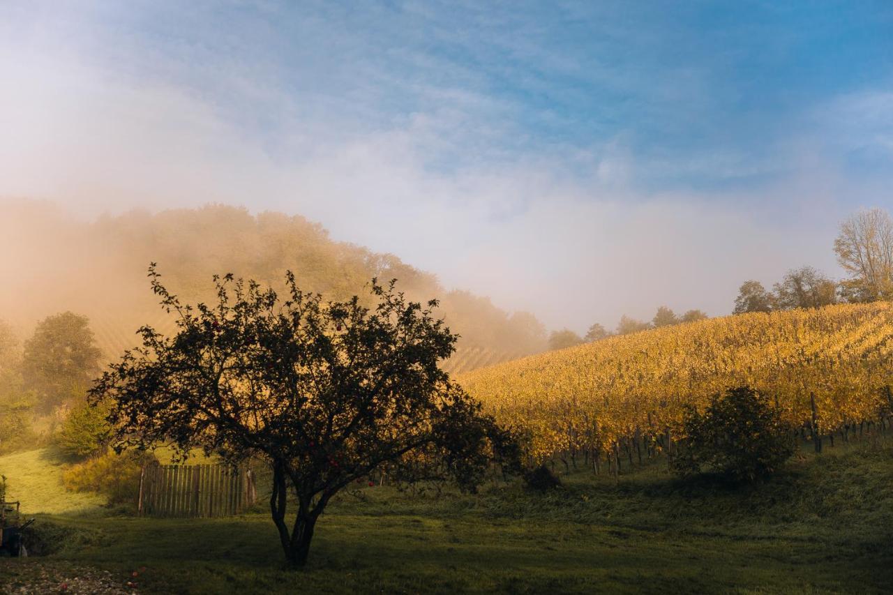 Luxury Vineyard Resort Chateau Ramsak マリボル エクステリア 写真