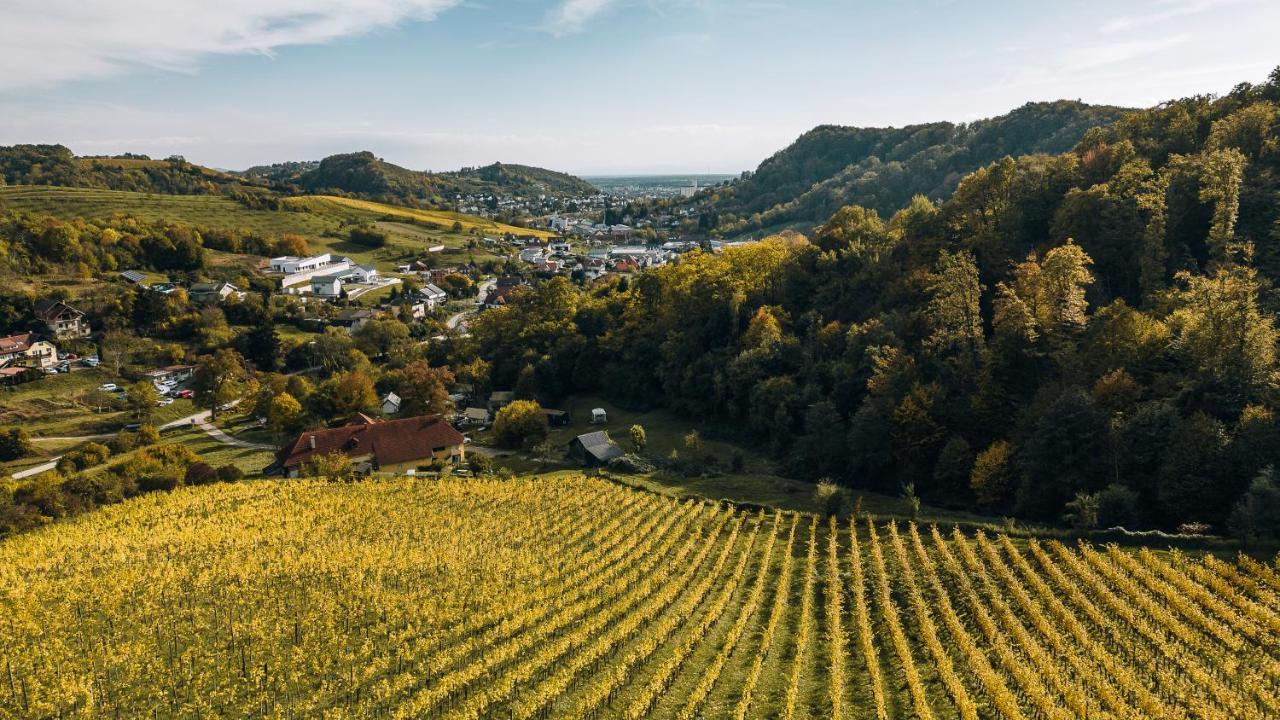 Luxury Vineyard Resort Chateau Ramsak マリボル エクステリア 写真