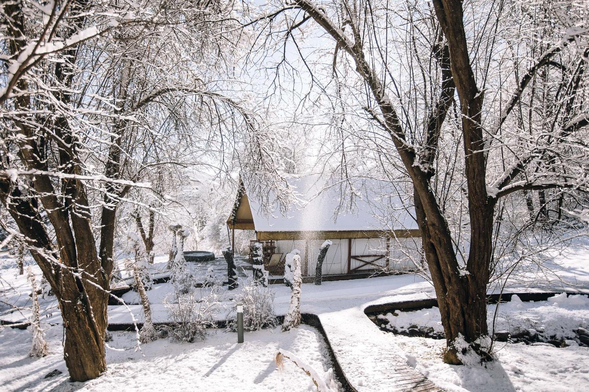 Luxury Vineyard Resort Chateau Ramsak マリボル エクステリア 写真